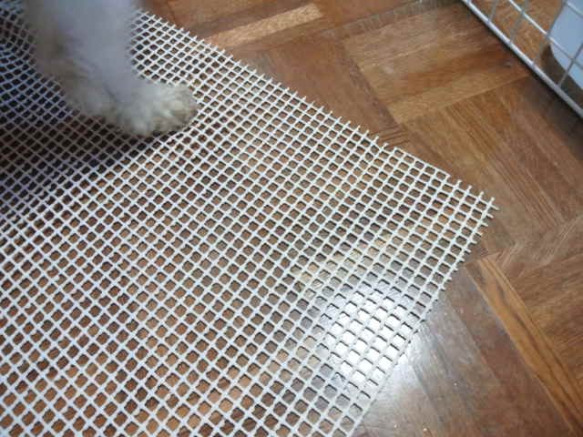 ダイソーのヨガマット的なもので老犬の床すべり対策 Michetta